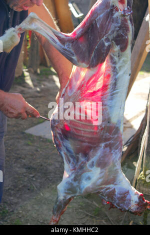 Metzger schnitzt die Ziege Karkasse für Fleisch Stockfoto