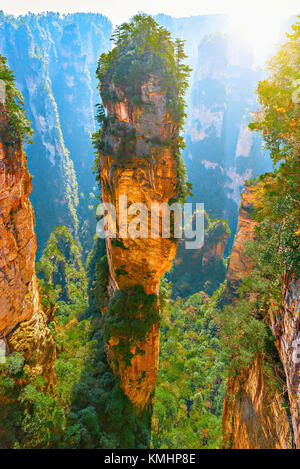 Natürlicher Quarz Sandstein Säule der Avatar hallelujah Berg ist 1.080 Meter (3.540 ft) in der Zhangjiajie National Forest Park in wulin Stockfoto