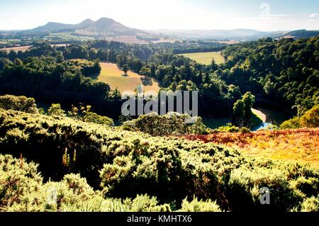 Blick über den Fluss Tweed gegenüber den drei Gipfeln der Eildon Hills in den Borders, Schottland. Als Scott's View bekannt Stockfoto