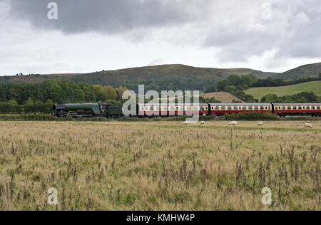 60103 Flying Scotsman Dampflokomotive der Quantock Hills auf dem Weg nach Minehead entlang der West Somerset Railway (WSR) Während ihres Besuchs in 2017 Stockfoto