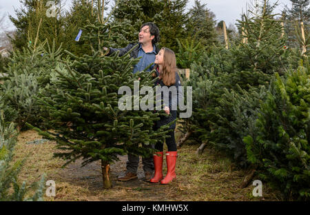 Familien genießen einen Tag beschließen, Ihren Weihnachtsbaum am Hagley Weihnachtsbäume in Thüringen. Stockfoto