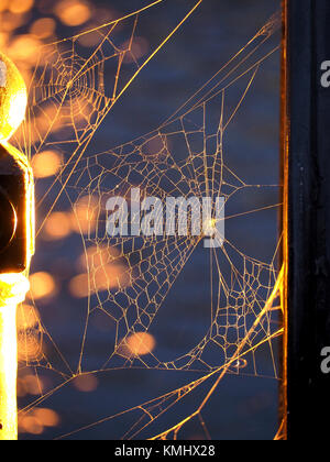 Beleuchtete golden Threads der Spinnennetz in der Abendsonne in Salford Quays, Manchester, UK mit weichen Highlights glitzernden auf dem Hintergrund Wasser Stockfoto