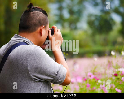 Asiatische Tourist ist ein Foto in cosmos Flower Field blur Hintergrund Stockfoto