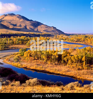 Herbst Farben entlang der Jefferson River in der Nähe von Whitehall, Montana Stockfoto