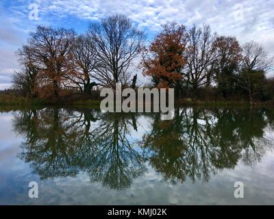 Bäume und Reflexionen des Kennet und Avon Kanal in der Nähe von Devizes, Wiltshire, England Stockfoto