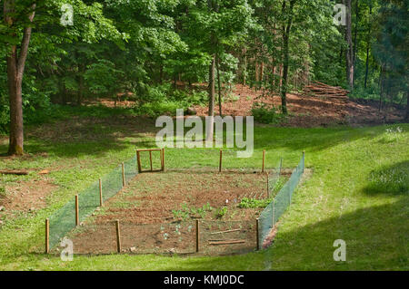 Ein teilweise bepflanzten Gemüsegarten im Frühjahr, durch einen Zaun geschützt, in der Nähe einer ländlichen Wald. Stockfoto