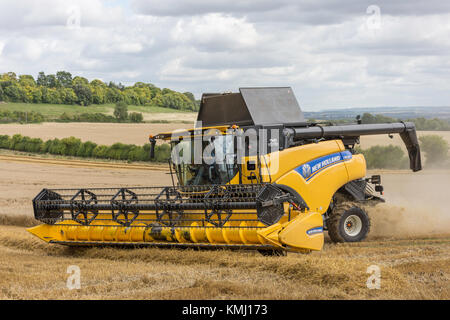 New Holland Mähdrescher Twin Rotor ernten Weizen in der Nähe von Didcot, Oxfordshire, England, Vereinigtes Königreich Stockfoto