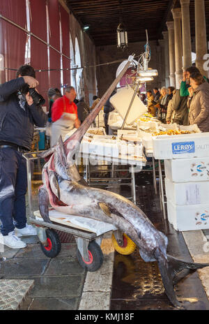 Touristen fotografieren einer gereinigt und ausgenommene Schwertfisch im Rialto Fischmarkt, San Polo, Venedig, Italien Stockfoto