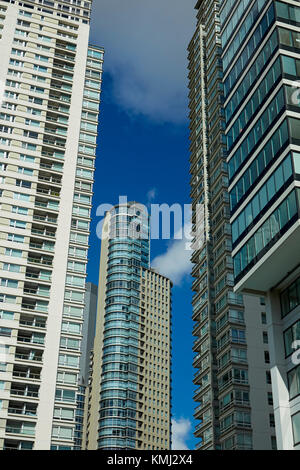 Tower Blocks, Puerto Madero, Buenos Aires, Argentinien, Südamerika Stockfoto