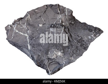 Makroaufnahmen von natürlichen Mineralgestein Muster - Grobe shungite Schiefer Stein auf weißem Hintergrund von Tolvuya Bezirk, Karelien, Russland Stockfoto