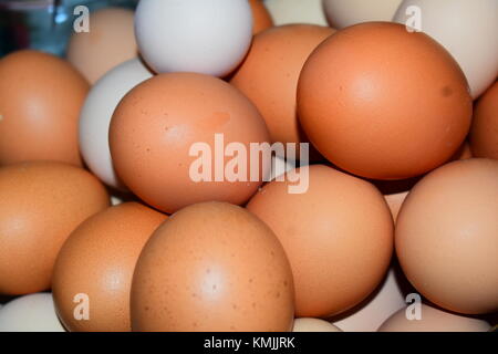 Farm Fresh Stockfoto