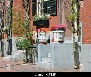 Urban Garden. Zwei große Pflanzmaschinen auf vorderen Stufen framing Hauseingang. Stockfoto