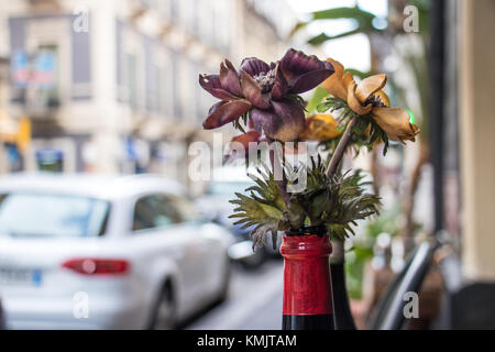 Fokus auf Blumen im Vordergrund Stockfoto