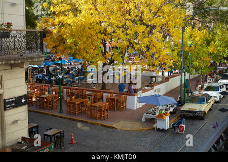 Herbst Farbe in Plaza Dorrego, San Telmo, Buenos Aires, Argentinien, Südamerika Stockfoto