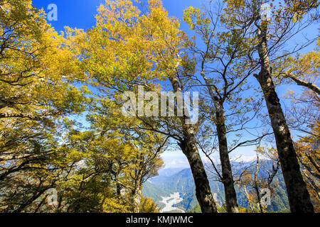 Schönheit in Taiwan Stockfoto