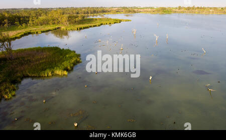 Low Level Luftbild der Könige Billibong in der Nähe von Mildura, Victoria, Australien. Die Gegend ist ein Paradies für die Vogelwelt, die in der Nähe von permanenten Feuchtgebiet Stockfoto