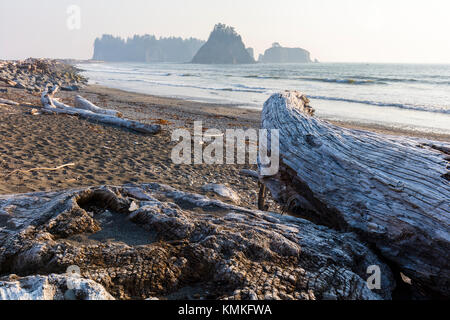 Riatlo Strand am Pazifik in Olympic National Park an der Küste des Staates Washington in den Vereinigten Staaten Stockfoto