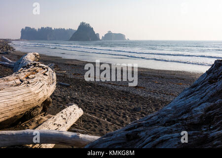 Riatlo Strand am Pazifik in Olympic National Park an der Küste des Staates Washington in den Vereinigten Staaten Stockfoto