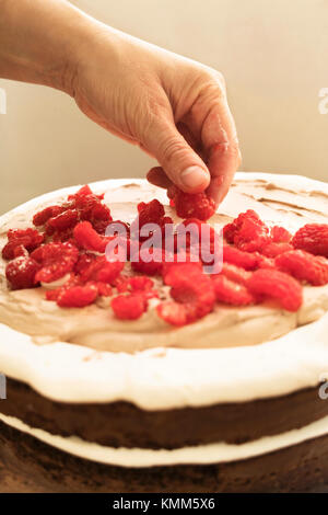 Baker hinzufügen Himbeeren auf Creme 2-in-1-Schokolade Kuchen gefüllt. Stockfoto
