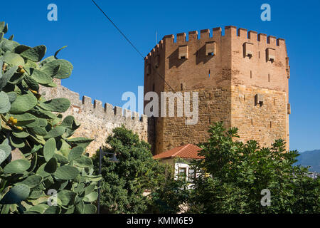 Der Rote Turm (Kizil Kule), Sehenswürdigkeiten von Alanya, Türkische Riviera, Türkei Stockfoto