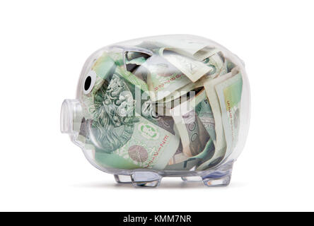 Transparentes Sparschwein mit polnischen Geld. Beschneidungspfad enthalten. Stockfoto