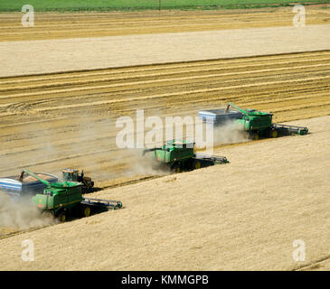 Luftaufnahme von drei JOHN DEERE MÄHDRESCHER ERNTEN 95 - 100 BU. Weizen IN TEXAS PANHANDLE Stockfoto