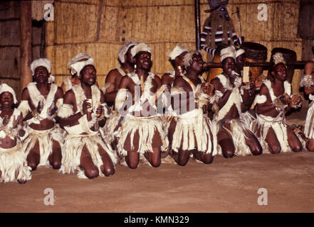 Traditioneller zulu-Tanz Stockfoto