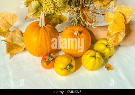 Orange Kürbisse mit gelben Quitte und Kaki, trockenen Zweig der Pappel und wilde Blumen auf weiße Tischdecken Stockfoto