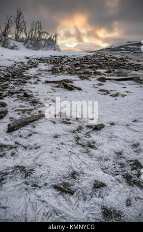 Eis bedeckt Bäume am Ufer des Sees mit Blick auf lapporten Tornetrask in Schweden Stockfoto