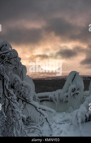 Eis bedeckt Bäume am Ufer des Sees mit Blick auf lapporten Tornetrask in Schweden Stockfoto