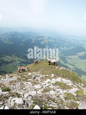 Atemberaubende Aussicht in die Berge der Schweiz Stockfoto