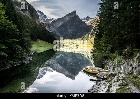 Großartige Aussicht in der Swissalps Stockfoto