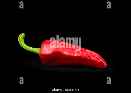 Eine Espelette Chili (Capsicum annuum) fotografiert auf einem schwarzen Hintergrund im Studio. Red Chili. Stockfoto