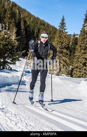 Eine Frau, die Langlaufen an einem sonnigen Tag im Central Cascade Mountains von Washington State, USA. Stockfoto