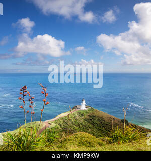 Der berühmte Leuchtturm am Cape Reinga an einem schönen Sommertag. Im Vordergrund ist Neuseeland native Flachs. Stockfoto