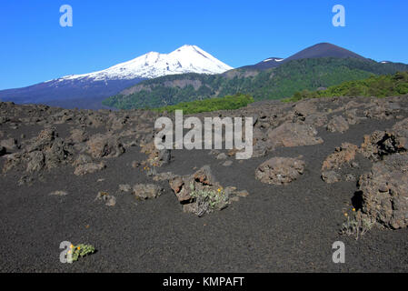 Die schneebedeckten Gipfel des Vulkan Llaima, Nationalpark Conguillio, Chile, Südamerika Stockfoto