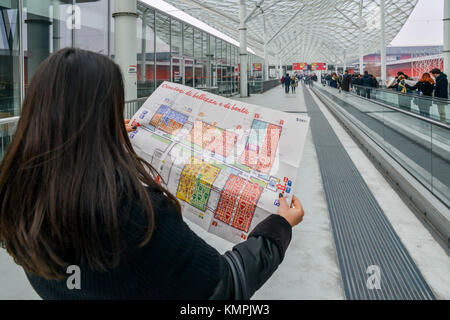 Mailand, Italien. 08 Dez, 2017. Frau sieht Karte der Rho Fiera in Mailand, Lombardei, Italien, das Hosting ist eine handwerkliche Fair Credit: Alexandre Rotenberg/Alamy leben Nachrichten Stockfoto