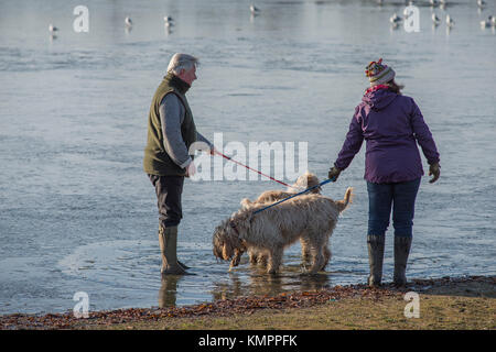 Wimbledon Village, London, UK. 9. Dezember, 2017. Schwere über Nacht Frost allmählich Aufzüge in der Wintersonne. Möwen stehen auf Eis bedeckt Wimbledon Common Teich mit Wanderern, die von blauen Himmel. Credit: Malcolm Park/Alamy Leben Nachrichten. Stockfoto