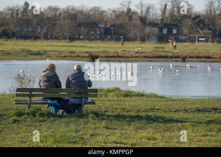 Wimbledon Village, London, UK. 9. Dezember, 2017. Schwere über Nacht Frost allmählich Aufzüge in der Wintersonne. Möwen stehen auf Eis bedeckt Wimbledon Common Teich mit Wanderern, die von blauen Himmel. Credit: Malcolm Park/Alamy Leben Nachrichten. Stockfoto