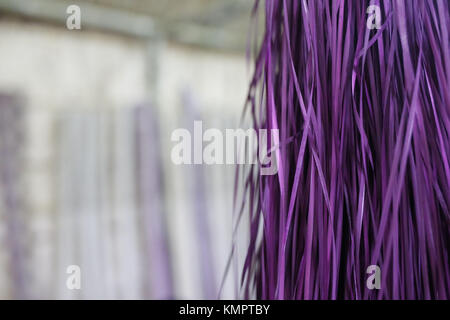 Dhaka, Bangladesch. Dezember 2017. Eine Detailansicht der Murta-Pflanze, Rohmaterial von Shital Pati, ausgestellt in einer Ausstellung über Shitol Pati im Nationalmuseum von Bangladesch. Kredit: Md Mehedi Hasan/ZUMA Wire/Alamy Live News Stockfoto