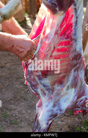 Metzger schnitzt die Ziege Karkasse für Fleisch Stockfoto