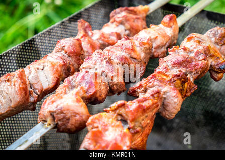 Schaschlik auf Metall Spieße mit Picknick im freien Stockfoto