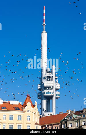 Žižkovský televizní vysílač, Žižkov, Praha, Česká republika/Zizkov Fernsehturm, Stadtteil Zizkov, Prag, Tschechische Republik Stockfoto