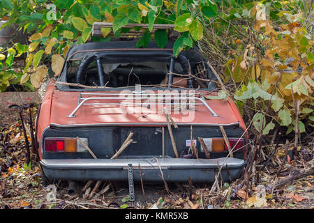 Alte jensen Healy links als Werbung in der Wassermühle, NY Stockfoto