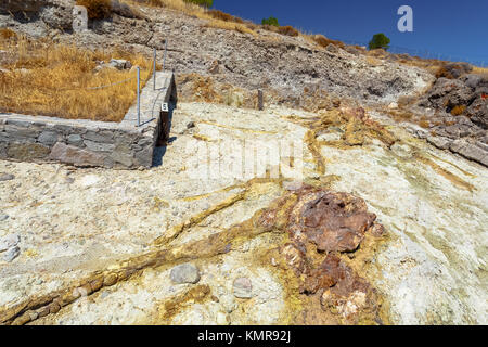 Ein fossiles bunte Baumstamm aus dem UNESCO-Geopark "Versteinerter Wald von Sigri' auf der Insel Lesbos in Griechenland. Stockfoto