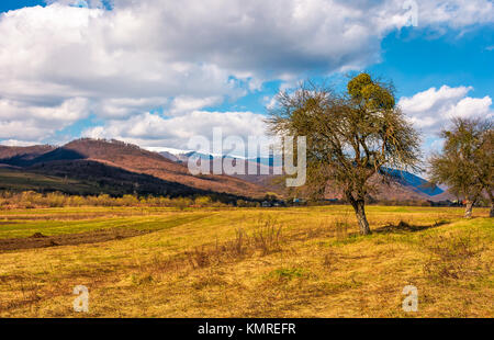 Blattlosen Bäume auf den ländlichen Bereich in Berge mit schneebedeckten Gipfeln. wunderschöne Landschaft frühlingslandschaft an einem sonnigen Tag mit einigen Wolken am blauen Himmel Stockfoto