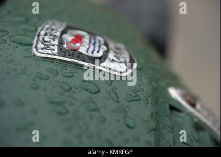 Motorhaube des Alten grünen Morris Van Stockfoto