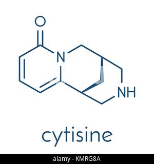 (Cytisine baptitoxine, sophorine) Raucherentwöhnung Droge Molekül. Skelettmuskulatur Formel. Stock Vektor