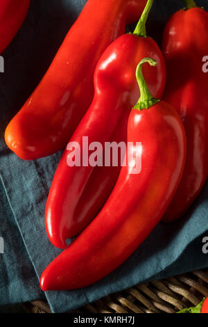 Raw Organic Süßen roten alten Paprika in einem Bündel Stockfoto