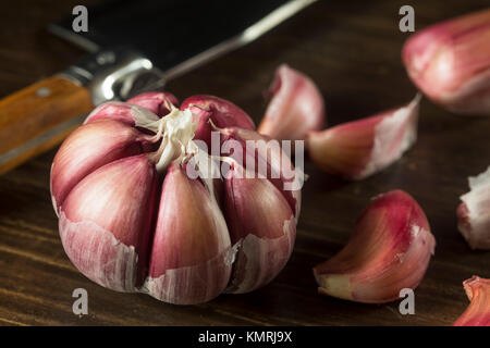 Raw Organic Gourmet Lila Knoblauch fertig zu Kochen mit Stockfoto